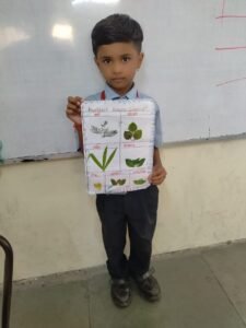 Five Little Helpers of a Plant (1)