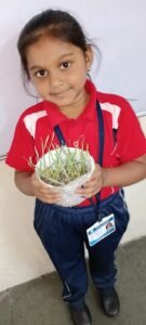 Five Little Helpers of a Plant (5)