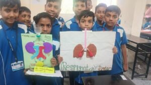 Exploring Our Body Systems Excretory and Respiratory Models (1)