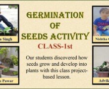 germinationa of seeds activity