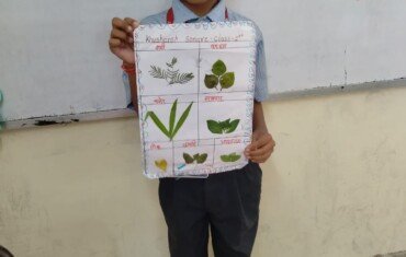 Five Little Helpers of a Plant (1) Five Little Helpers of a Plant (1)