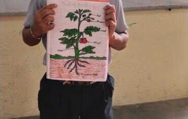 Five Little Helpers of a Plant (2) Five Little Helpers of a Plant (2)