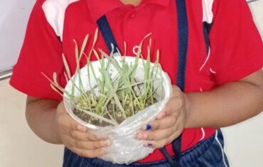 Five Little Helpers of a Plant (5) Five Little Helpers of a Plant (5)