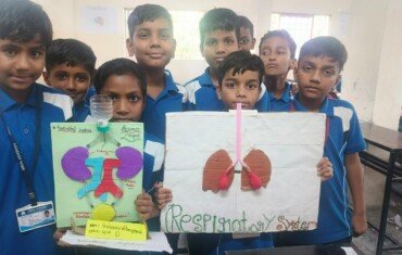 Exploring Our Body Systems Excretory and Respiratory Models (2) Exploring Our Body Systems Excretory and Respiratory Models (2)