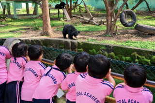 IA ZOO 2 (1)